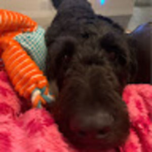 Meet your Posher, Miriam